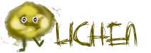 Lichen