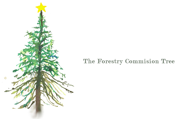 The Forestry Commission Tree