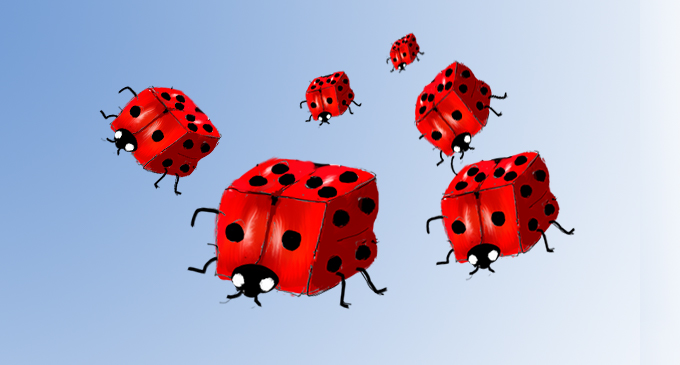 flying ladybird dice
                                                                   